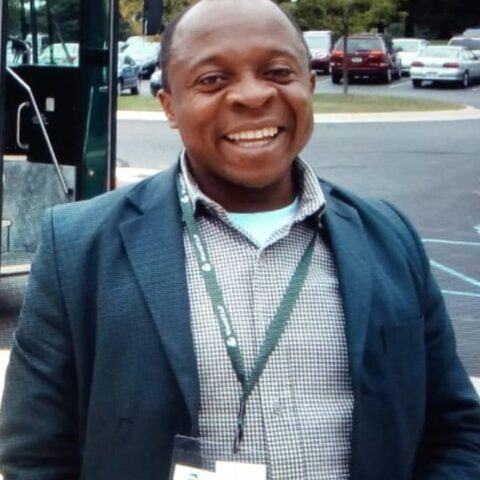 'Putin' The Cart Before The 'Ukraine Horse' - Olukayode Oyeleye 