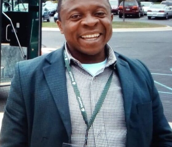 'Putin' The Cart Before The 'Ukraine Horse' - Olukayode Oyeleye 