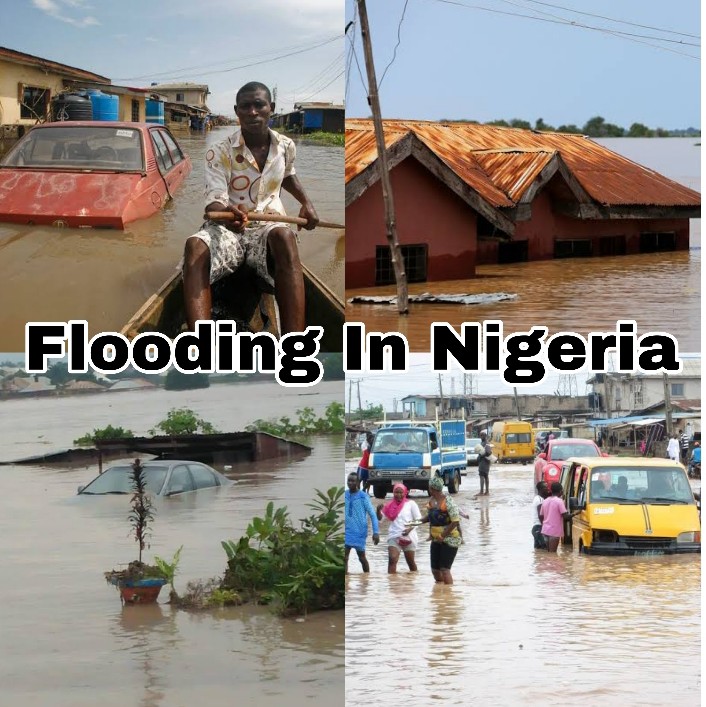 Nigeria's 2022 Flooding Worst In Years As Death Toll Hits 600, Millions  Displaced –