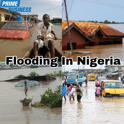 Nigeria's 2022 Flooding Worst In Years As Death Toll Hits 600, Millions Displaced