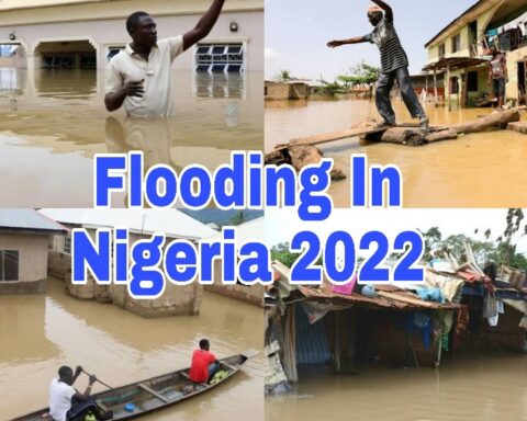 Flood: Experts Task Govt On Building Dams, Dredging Waterways