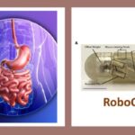Robotic Capsule For Enhanced Drug Delivery