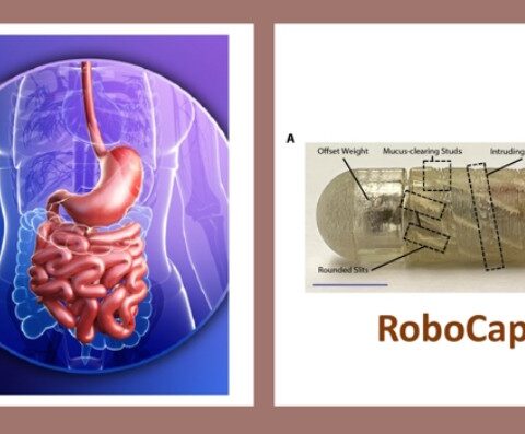 Robotic Capsule For Enhanced Drug Delivery