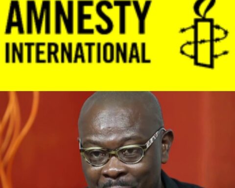Amnesty International Seeks Freedom, Safety Of Human Rights Defenders In Nigeria