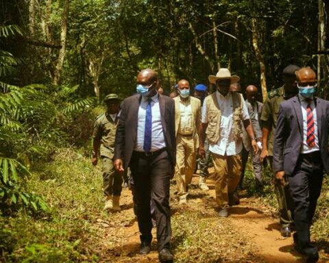 Edo Concessions Okomu South, Gele-gele Forest Reserves For 30 Years To ANI Foundation