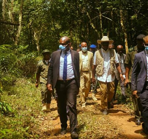 Edo Concessions Okomu South, Gele-gele Forest Reserves For 30 Years To ANI Foundation