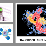 CANCER: Biomarker Discrimination, Breast Cancer Vaccine And CRISPR Cancer Therapy