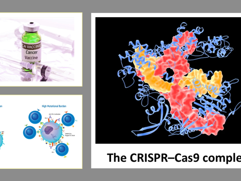 CANCER: Biomarker Discrimination, Breast Cancer Vaccine And CRISPR Cancer Therapy