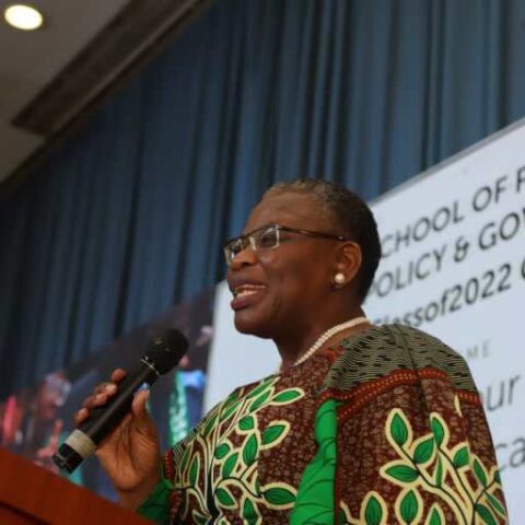 Without Good Governance Economic Development Will Continue To Elude Africa - Ezekwesili