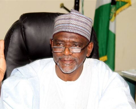 Nigerian Gov't Approves Use Of Mother Tongue For Instruction In Primary Schools