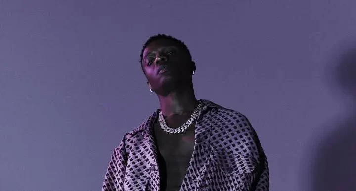 Wizkid's Unexpected Hiatus: Implications, Winners