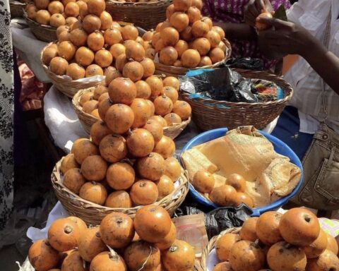Health Benefits Of African Star Apple