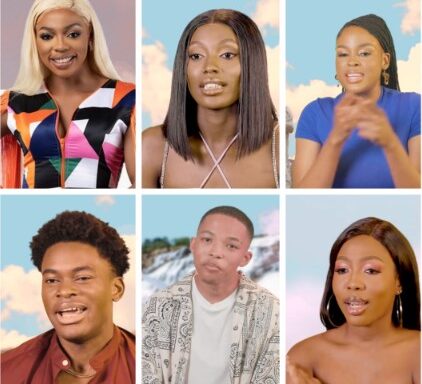 Meet BBTitans housemates, Khosi, Yemi, Olivia, Juicy, others