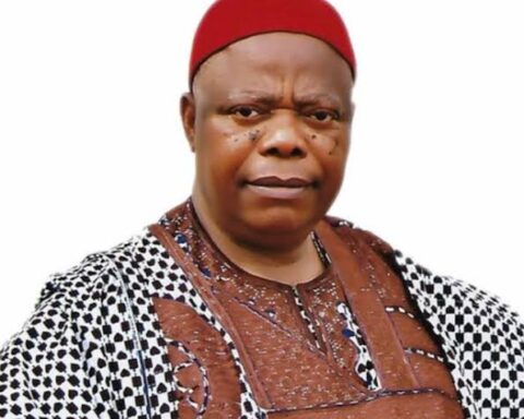2023 Presidency: My Election 'll Be 'Miracle' To Nigeria - Umeadi, APGA Candidate
