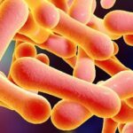 Nigeria Records New Disease Outbreak As Diphtheria Kills 25 People In Kano