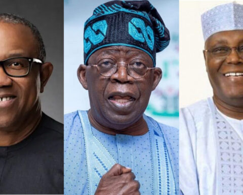 Pan-Nigerian Aggregation, Not Peter Obi, Defeated Tinubu In Lagos