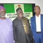 'Proposed FG-backed Consumer Credit Scheme Will Boost Nigeria's Industrial Sector'
