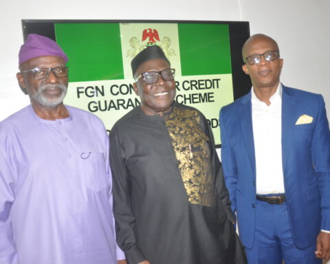 'Proposed FG-backed Consumer Credit Scheme Will Boost Nigeria's Industrial Sector'