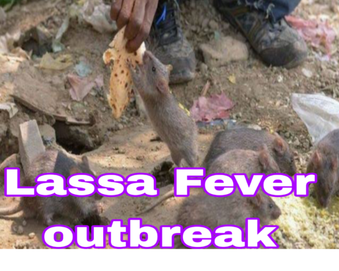 Lassa Fever: Victims Can Infect Others 12 Months After Treatment – Expert