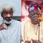 I Did Not Endorse Tinubu- Wole Soyinka