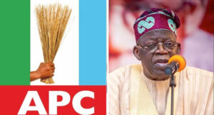 2023 Nigerian Presidential Election And Matters Arising