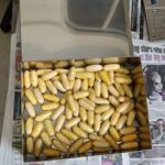2 Nigerians Nabbed In Indian Airport With 167 Cocaine-filled Capsules Concealed In Stomach 