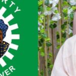 Presidential Poll: INEC Frustrating Our Effort In Filing Petition At Tribunal - LP