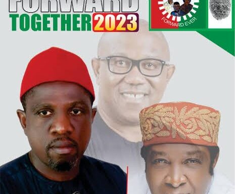 LP Raises The Alarm Over Alleged Plans By PDP To Rig Enugu East Senate Election