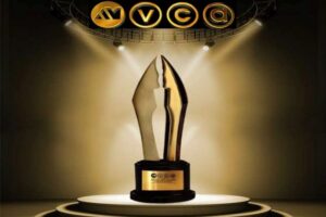 AMVCA 2024:Full Nominations List