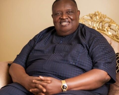 Ohanaeze: Igbo Stakeholders Reject Iwuanyanwu, Insist On Fresh Election