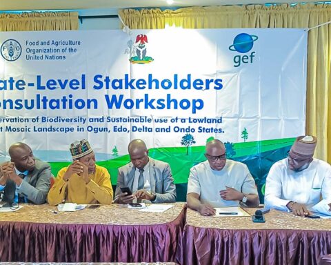 L-R: Consultant to Edo State Government on Forestry, Mr. lucky Wase; Edo State Facilitator, Sustainable Trade Initiative, Comrade Bashiru Kadiri; Permanent Secretary, Edo State Ministry of Environment & Sustainability, Mr Joel Ediowe; Commissioner for Agriculture & Food Security, Hon. Stephen Idehenre, and Commissioner for Environment & Sustainability, Engr Osasere Evboumwan, during a one-day state-level stakeholders’ consultation workshop, themed “Preservation of biodiversity and sustainable use of lowland forest mosaic in Ogun, Edo, Delta and Ondo States,’ in Benin City, the Edo State capital.