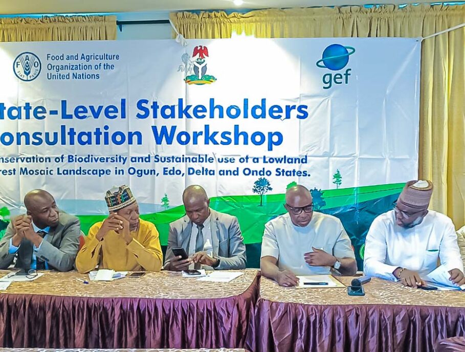 L-R: Consultant to Edo State Government on Forestry, Mr. lucky Wase; Edo State Facilitator, Sustainable Trade Initiative, Comrade Bashiru Kadiri; Permanent Secretary, Edo State Ministry of Environment & Sustainability, Mr Joel Ediowe; Commissioner for Agriculture & Food Security, Hon. Stephen Idehenre, and Commissioner for Environment & Sustainability, Engr Osasere Evboumwan, during a one-day state-level stakeholders’ consultation workshop, themed “Preservation of biodiversity and sustainable use of lowland forest mosaic in Ogun, Edo, Delta and Ondo States,’ in Benin City, the Edo State capital.
