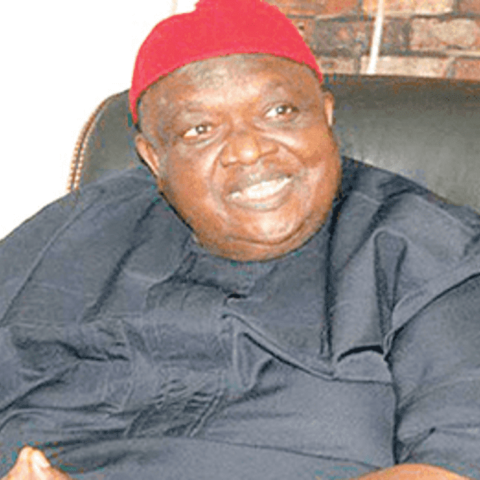 Iwuanyanwu as new Ohanaeze Ndigbo President-General