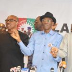External Forces Behind LP Crisis To Distract Obi In Election Petition Matter – State Party Chairmen