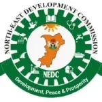 NEDC: Merits And Demerits Of Development Strategies