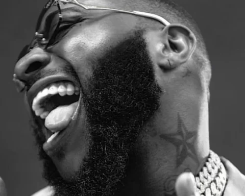 ‘I’m Quiting Music’- Davido