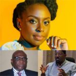 Poll: Onanuga, Onoh React To Adichie’s Open Letter To US President Biden