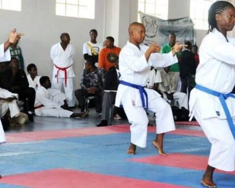 Sports Minister Calls For Raising Of Talents As FG Approves Mixed Martial Arts As Sports Federation