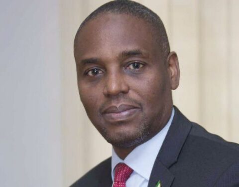 Nigeria Air: Int’l Community Watching To See If ICAO Standards Are Followed - Aviation Expert