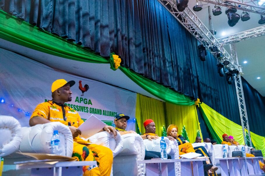 Sly Ezeokenwa Elected APGA National Chairman 