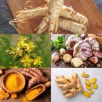 5 Most Popular Herbal Medicines From Around The World
