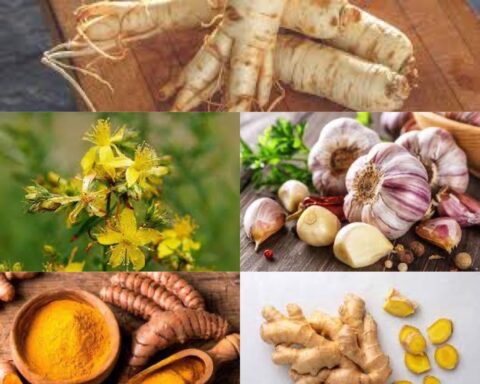 5 Most Popular Herbal Medicines From Around The World