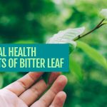 Sexual Health Benefits of Bitter Leaf