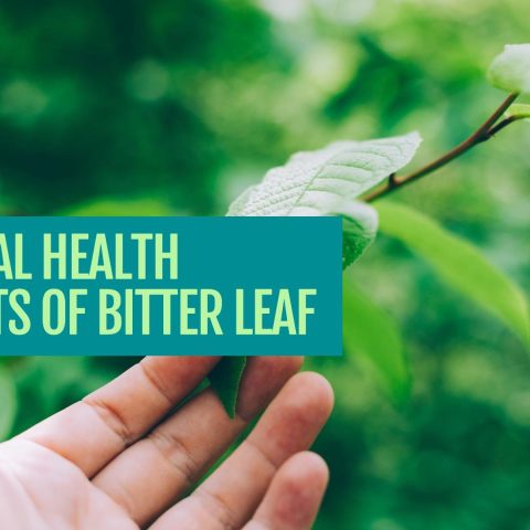 Sexual Health Benefits of Bitter Leaf