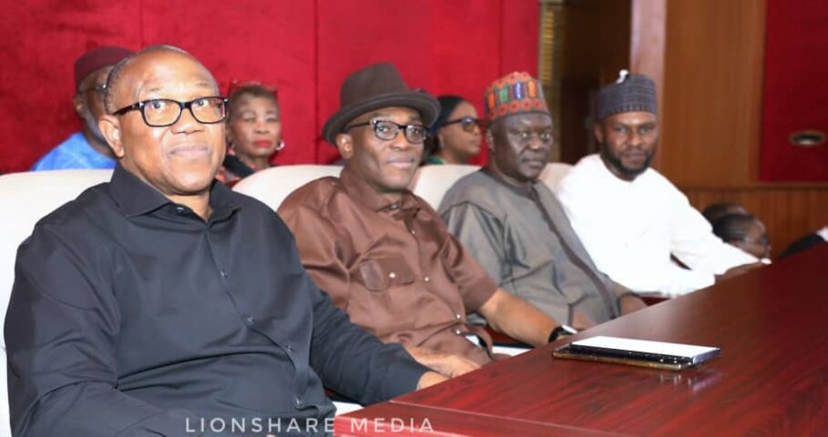 Presidential Poll: Obi Presents Mathematics Professor As Witness At Tribunal