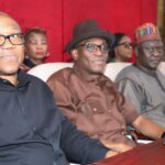 Presidential Poll: Obi Presents Mathematics Professor As Witness At Tribunal