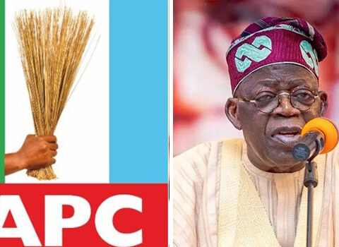 APC Chieftain Urges Tinubu To Conduct Integrity Performance Review On Cabinet Members
