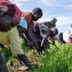 New Strategy For Tackling Food, Nutrition Security Crises in South Sudan