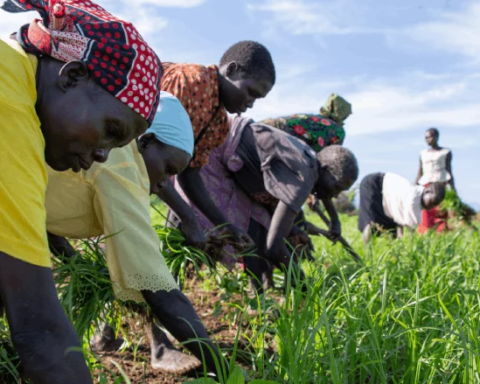 New Strategy For Tackling Food, Nutrition Security Crises in South Sudan