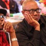 Labour Party Chairman Alleges APC's Plan For Presidential Election Re-Run